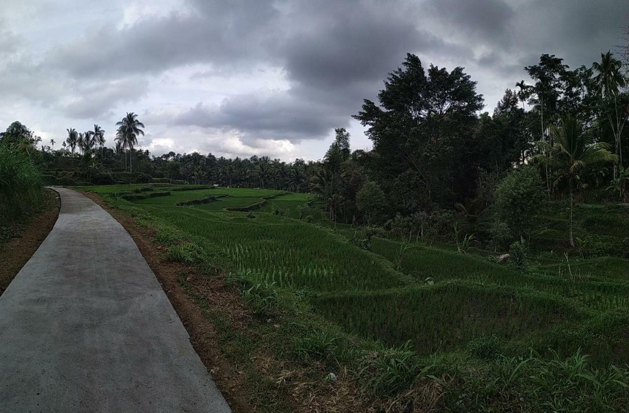 Bale Kembang Kuning Apartman Tetebatu Kültér fotó