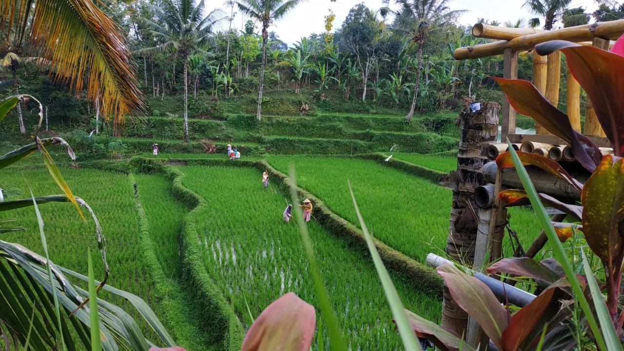 Bale Kembang Kuning Apartman Tetebatu Kültér fotó