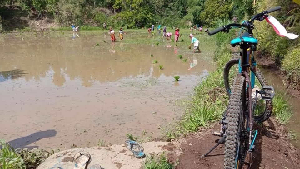 Bale Kembang Kuning Apartman Tetebatu Kültér fotó